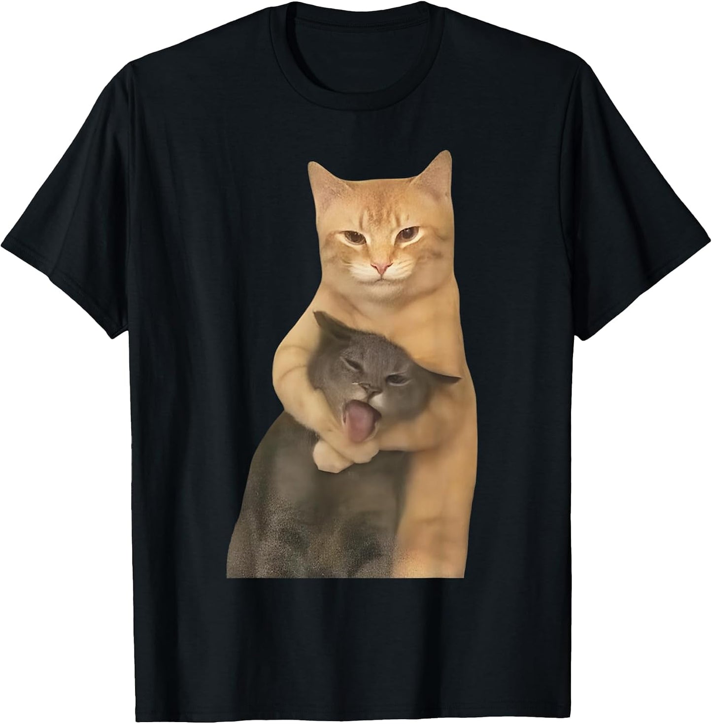 Fighting Cat Memes FUNNY