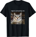 Rage is Consuming Me Silly Staring Cat Meme T-Shirt