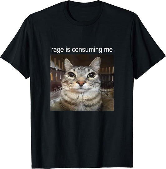 Rage is Consuming Me Silly Staring Cat Meme T-Shirt