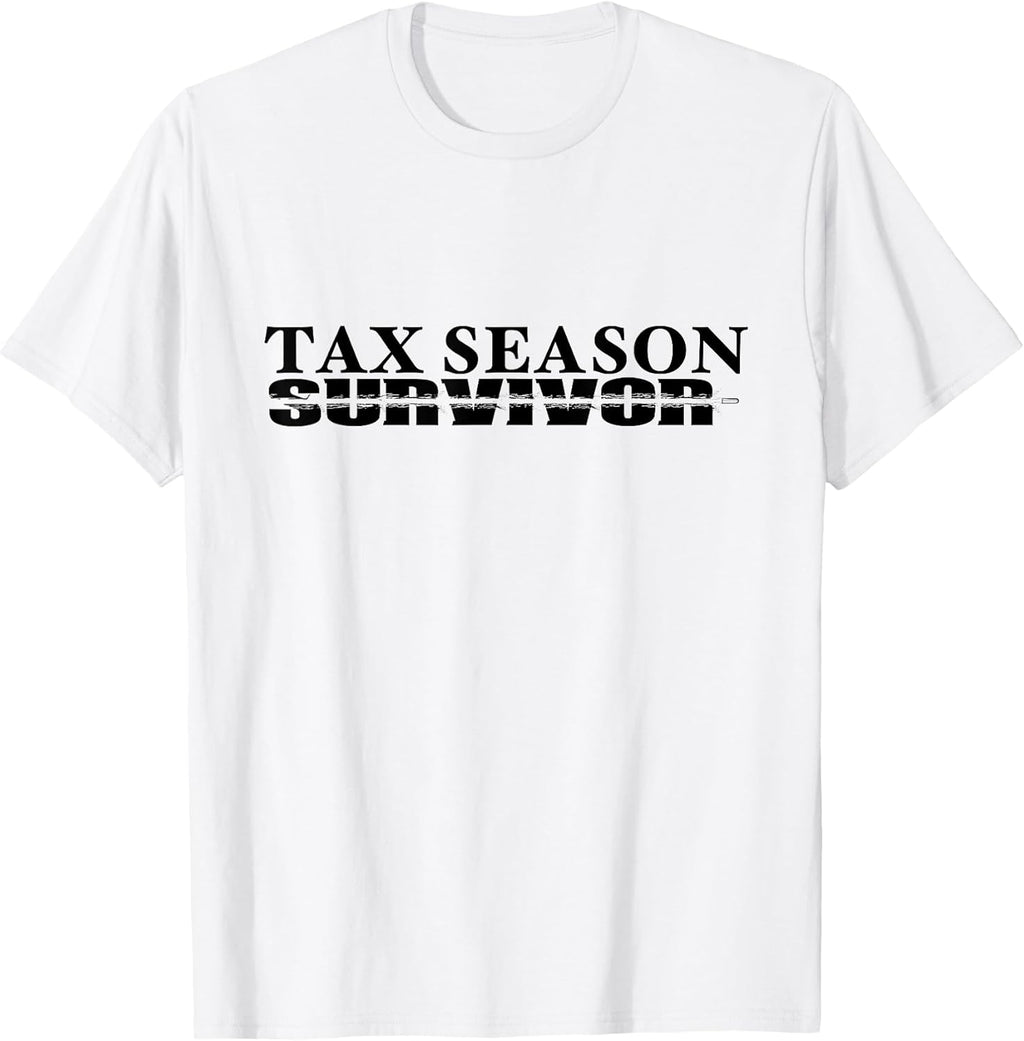 Tax Season Accountant by Qfire