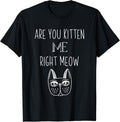 Cat Funny T-shirts