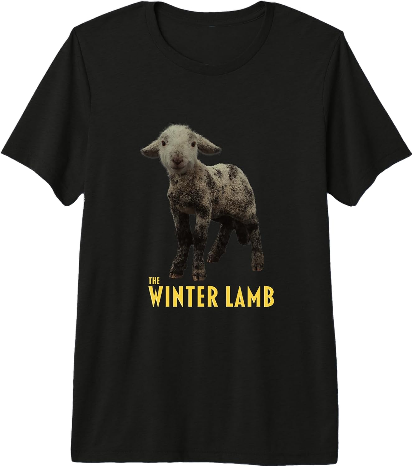 Sheep Detective