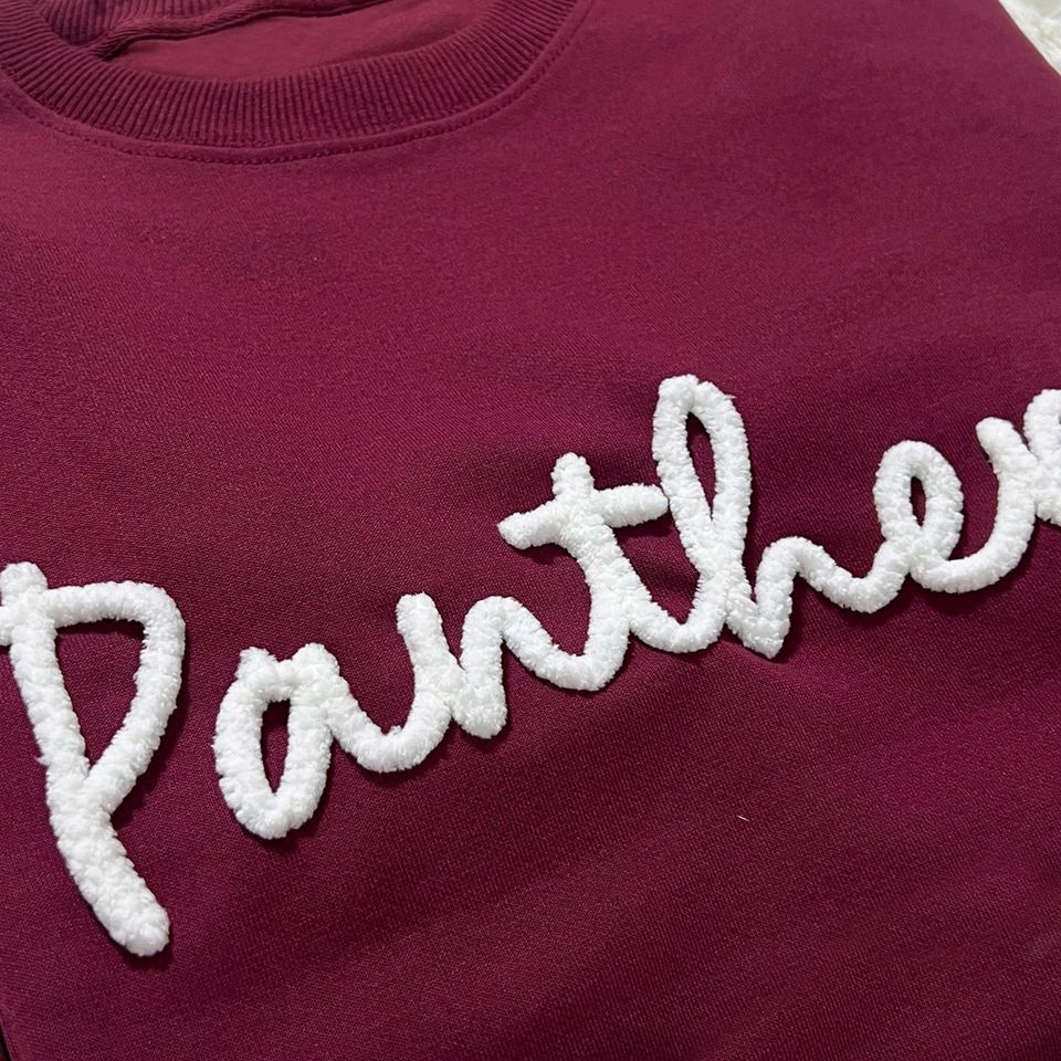 Custom Chenille Embroidered Sweatshirt with School Mascot and Personalized Text