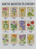 Birth Month Flowers
