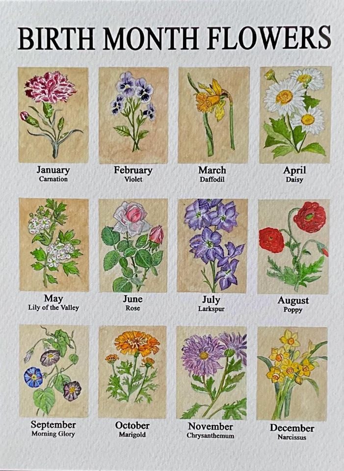 Birth Month Flowers