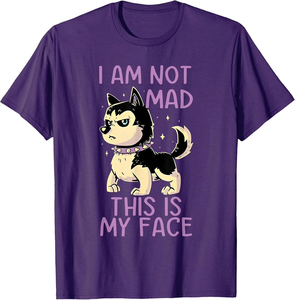 Funny I Am Not Mad This Is My Face Tee Shirt