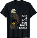 Eagle Bald Eagle by Hibl