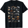 ABC Dog Breeds Identification A-Z Types of Dogs Canine T-Shirt