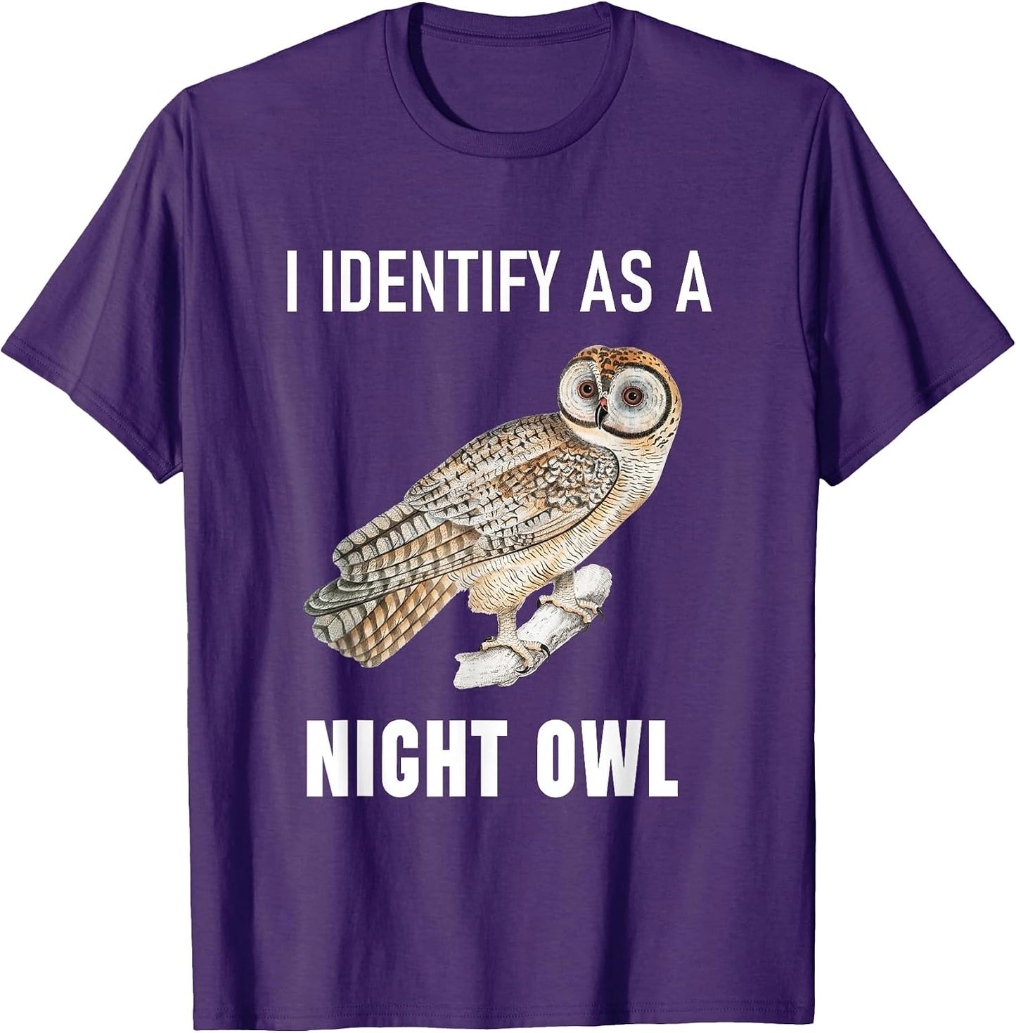 Funny Anti Morning Person Night Owl