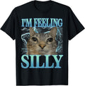 Funny Saying Cat Lover I'm Feeling Silly Cat Meme