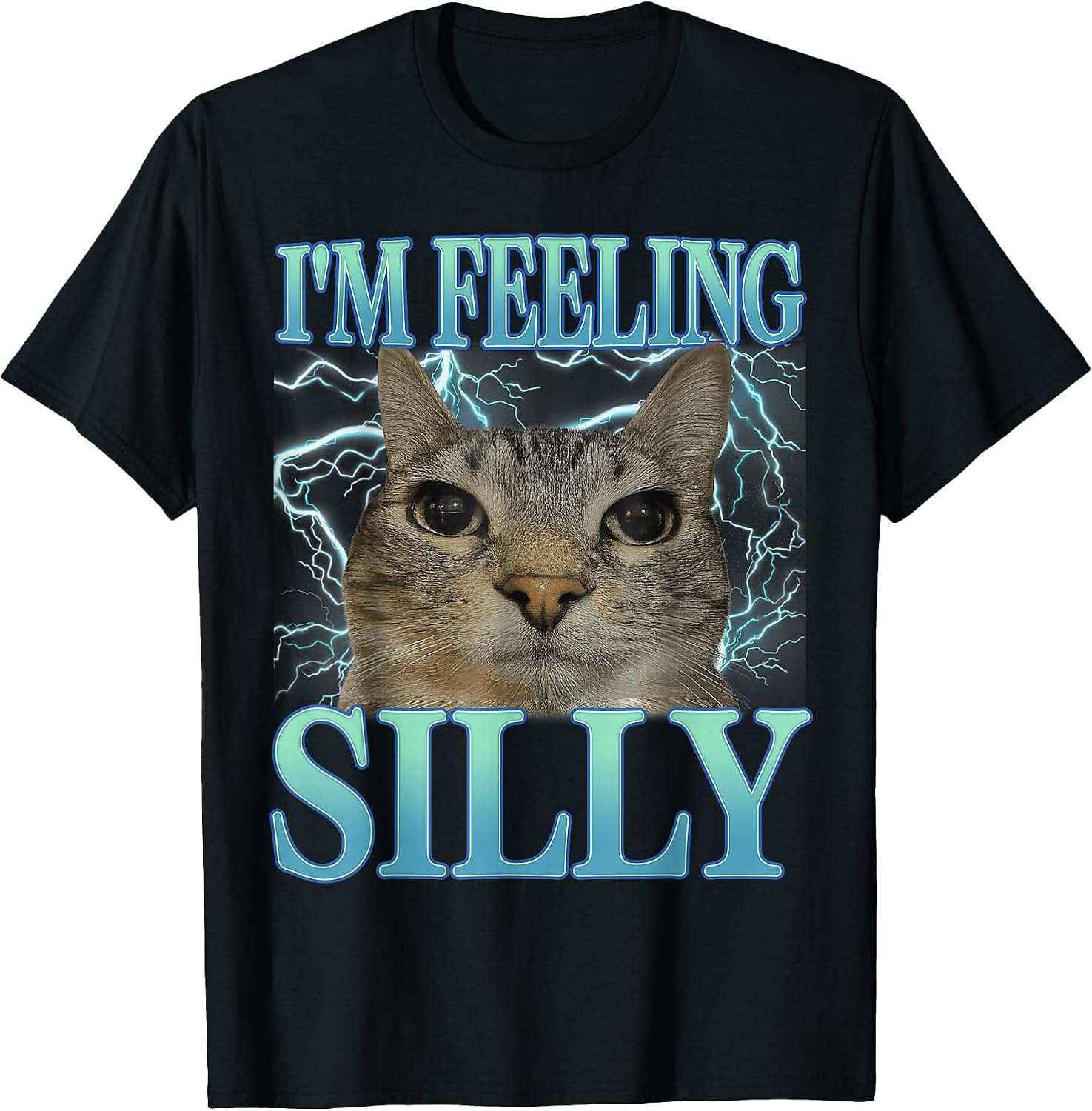 Funny Saying Cat Lover I'm Feeling Silly Cat Meme