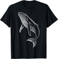 Wildlife Animal Whale Nature Marine Biologist