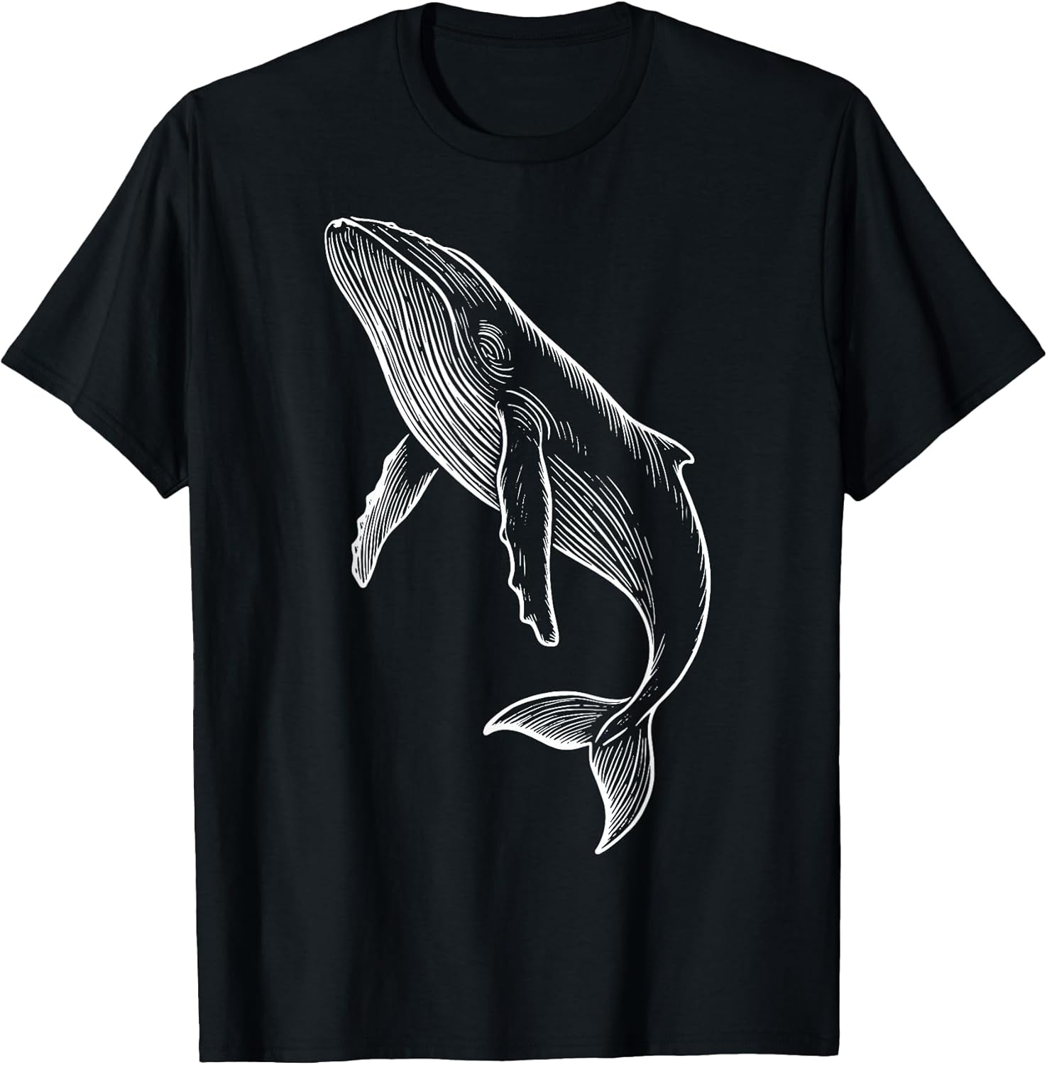 Wildlife Animal Whale Nature Marine Biologist