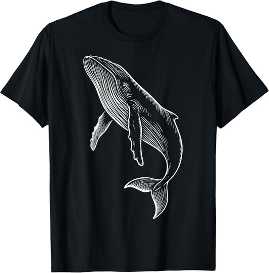 Wildlife Animal Whale Nature Marine Biologist
