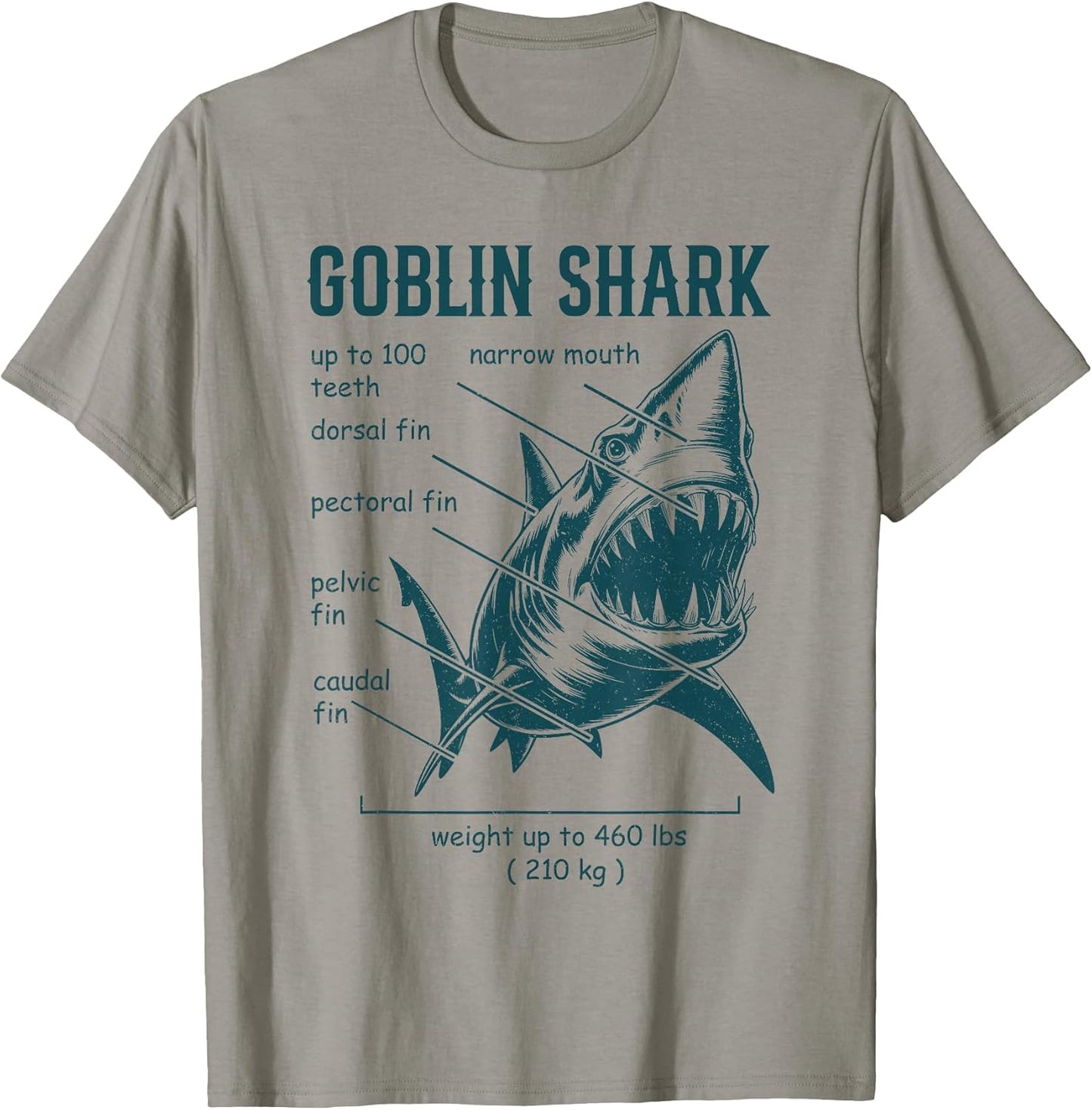 Surfing Shark Anatomy