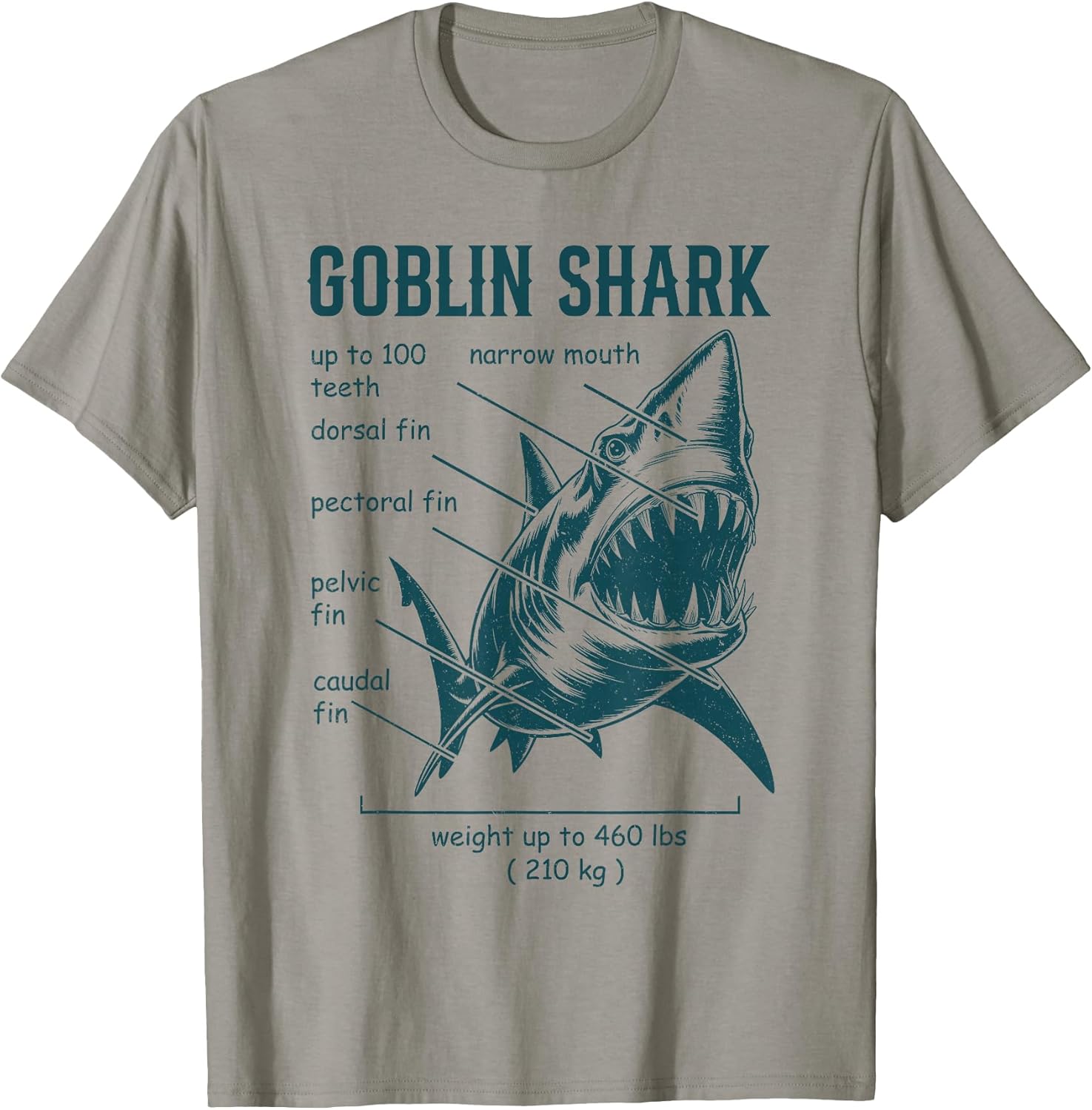 Surfing Shark Anatomy