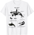 Orca whale Anatomy, Marine Biologist
