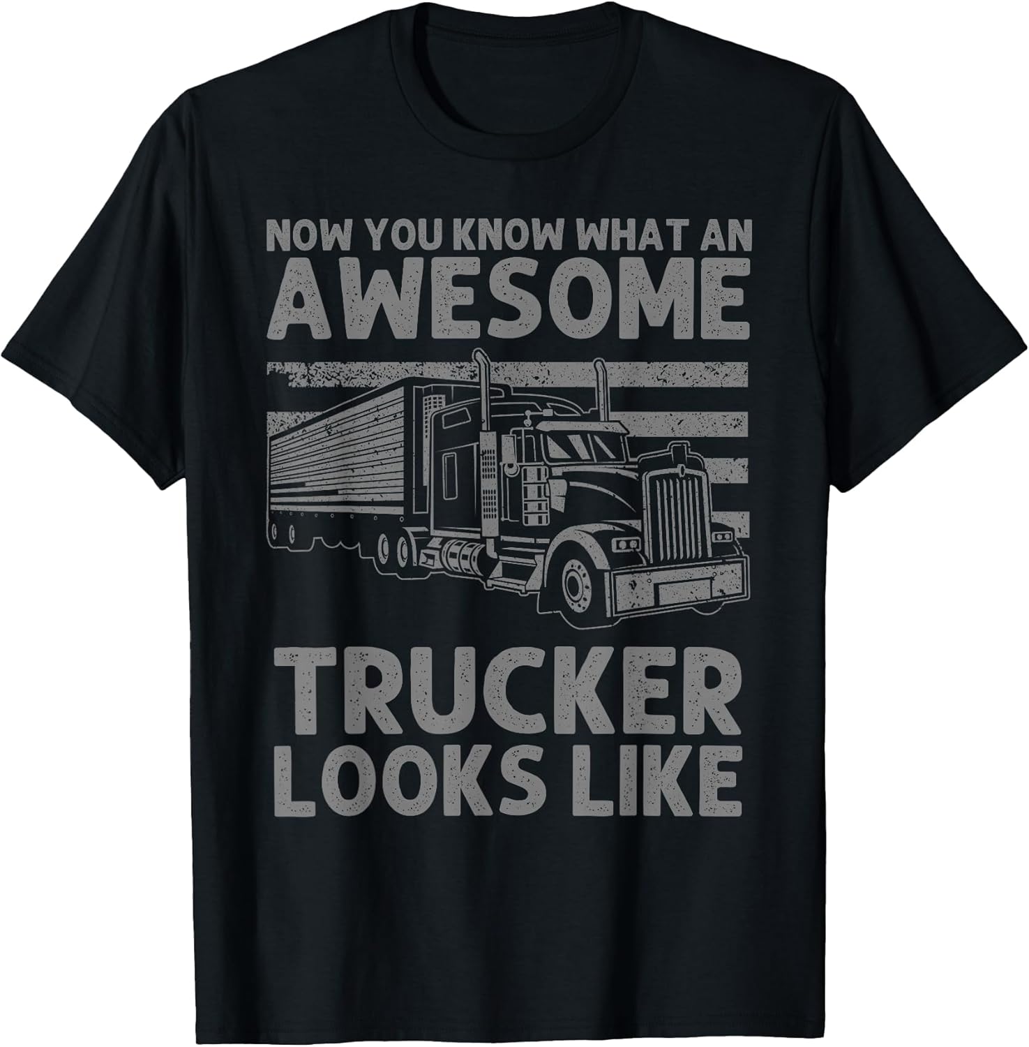Truck Driver Gift For Trucker Accessories & Stuff