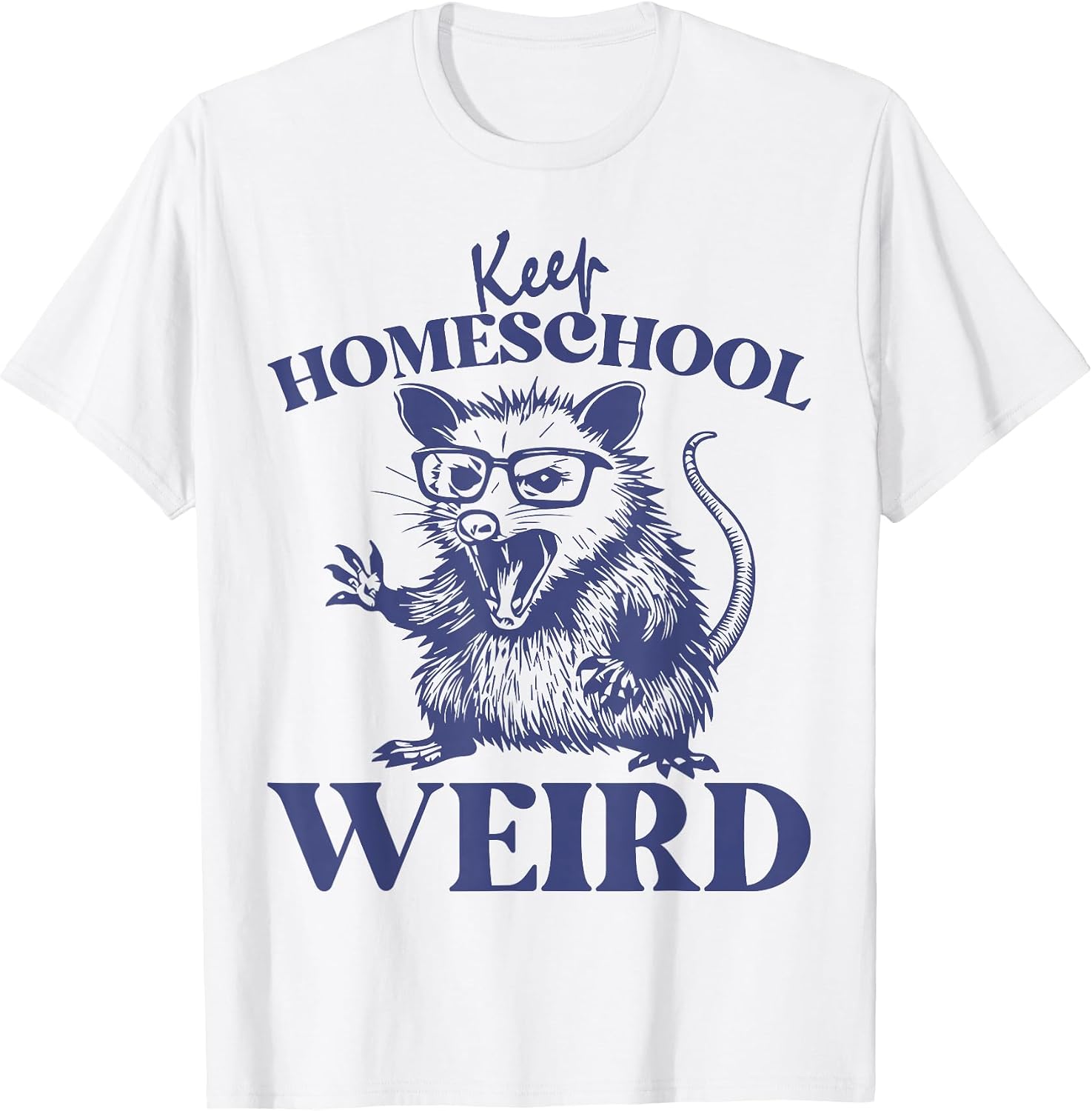 Raccoon Homeschool Merch & Co
