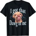 Dawg Meme Chihuahua Humor Collection