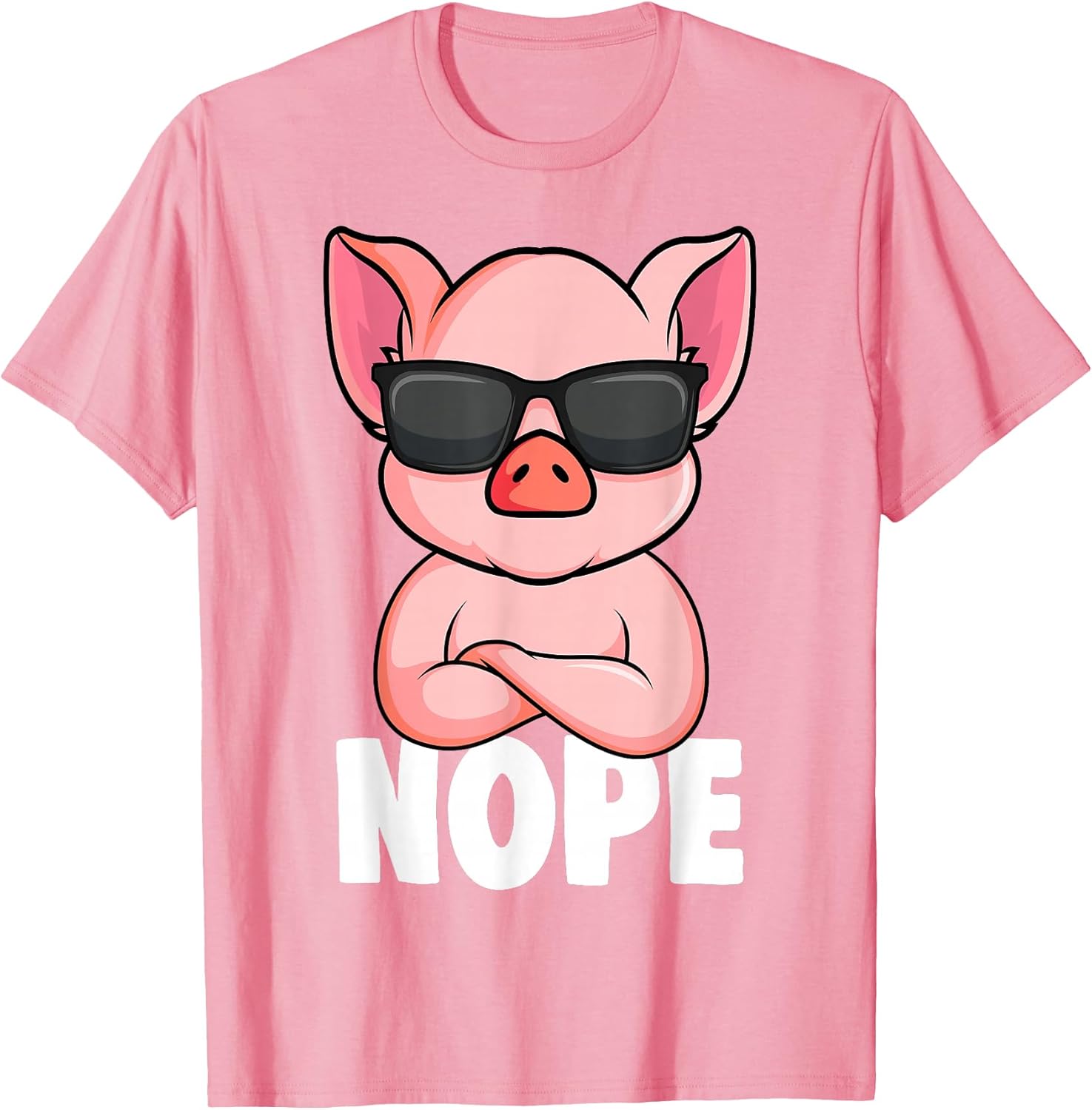 Funny Pig Lover & Owner Gift Ideas