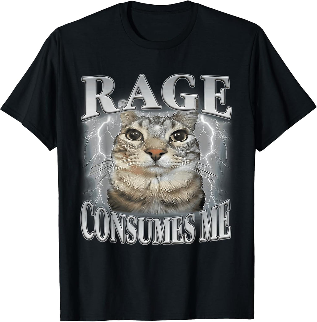 Funny Meme Cat Rage Is Consuming Me Silly Staring