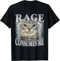 Funny Meme Cat Rage Is Consuming Me Silly Staring