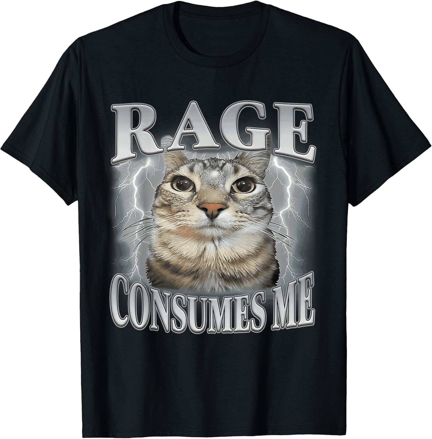 Funny Meme Cat Rage Is Consuming Me Silly Staring