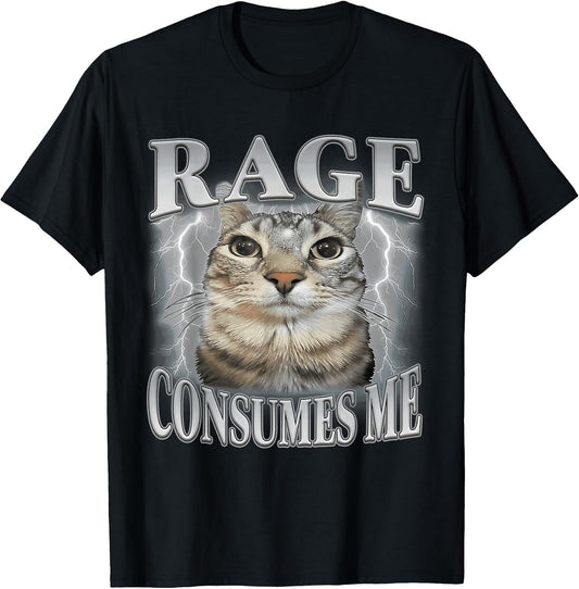 Funny Meme Cat Rage Is Consuming Me Silly Staring