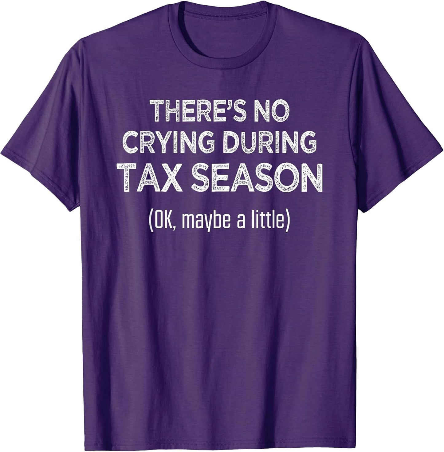 Accountant Shirts Only