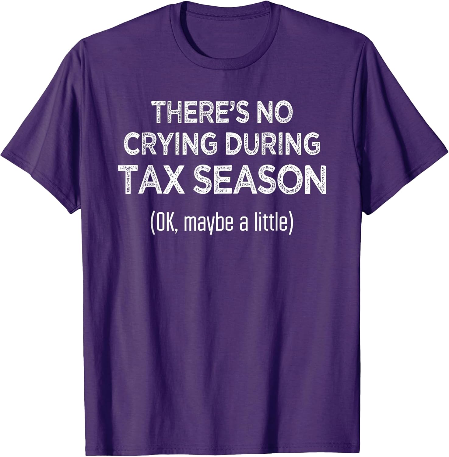 Accountant Shirts Only