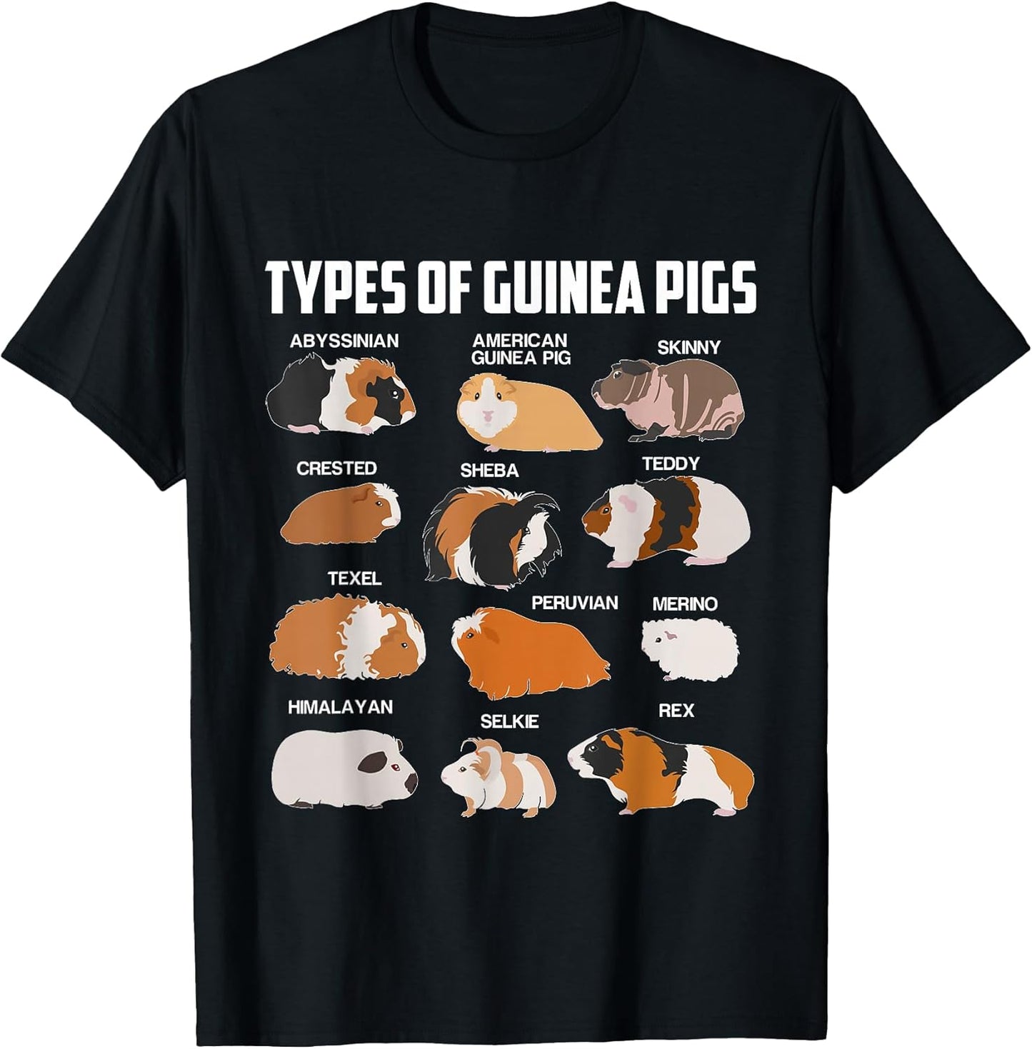 Die Besten Meerschweinchen Motive