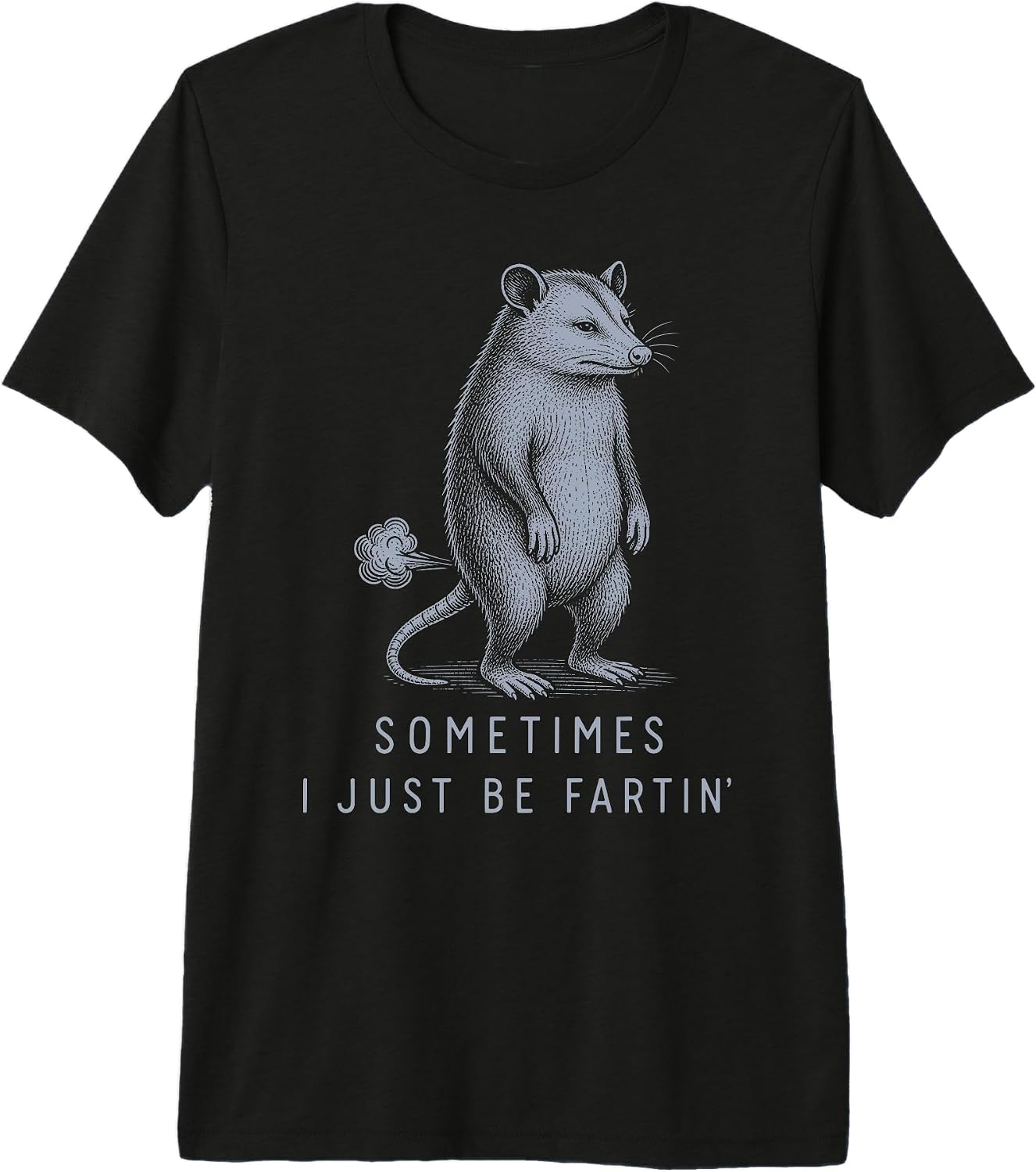 Opossum Animal Lover Sarcastic Silly Fart Gift
