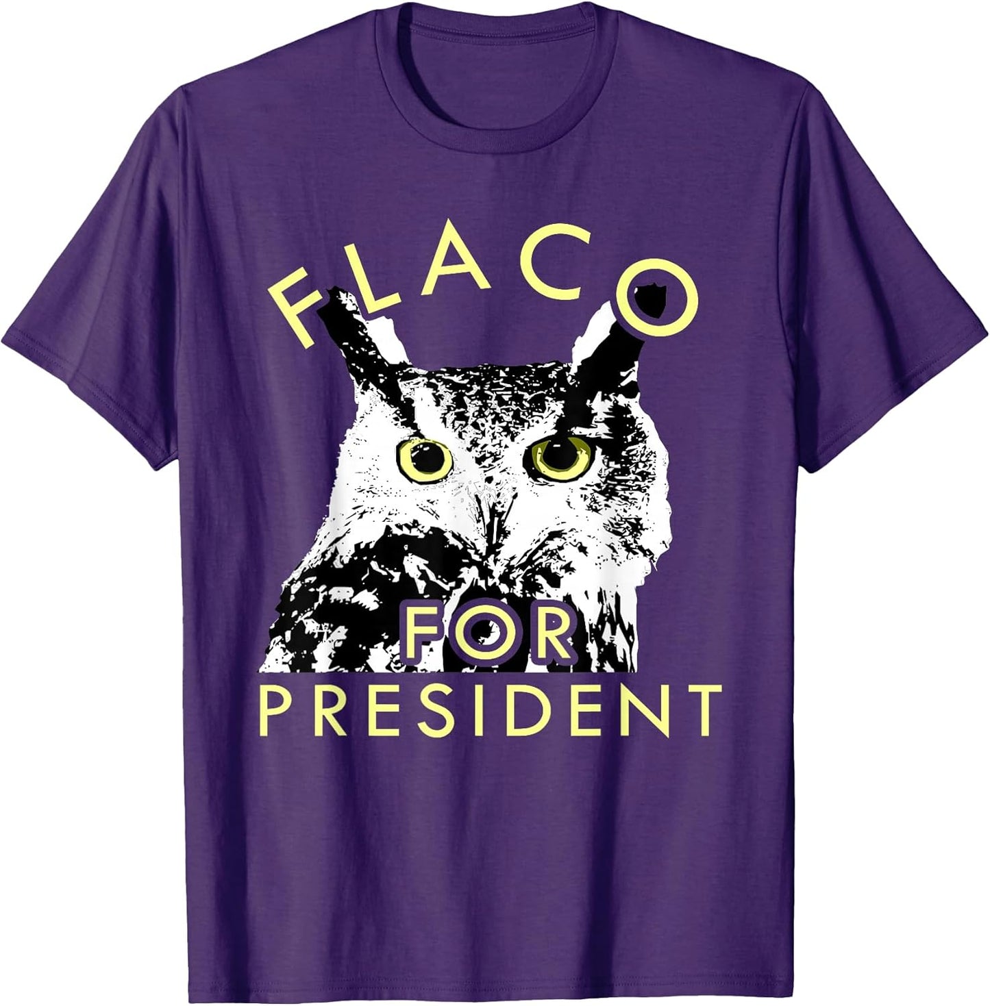 Escaped Owl named Flaco