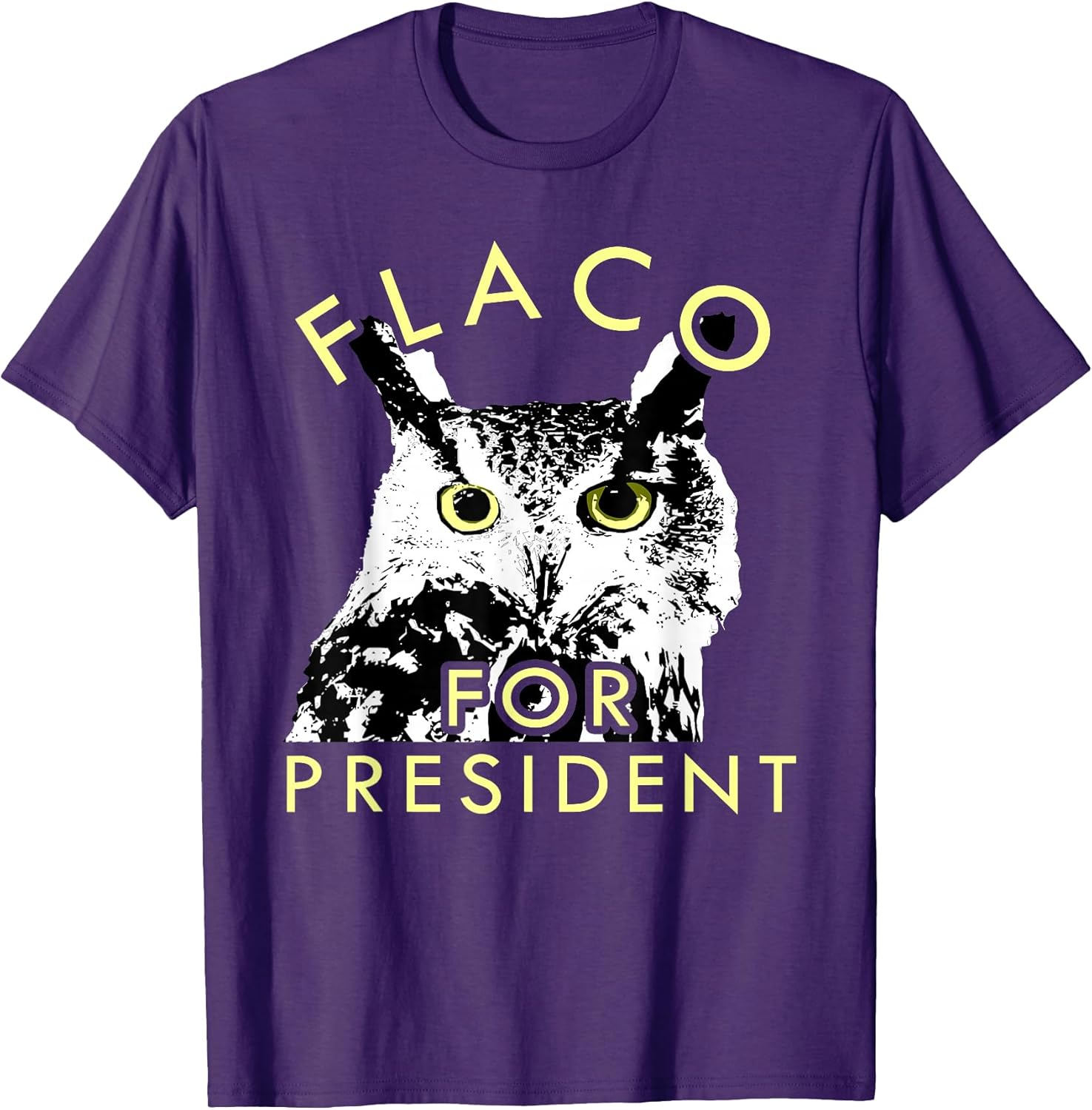 Escaped Owl named Flaco