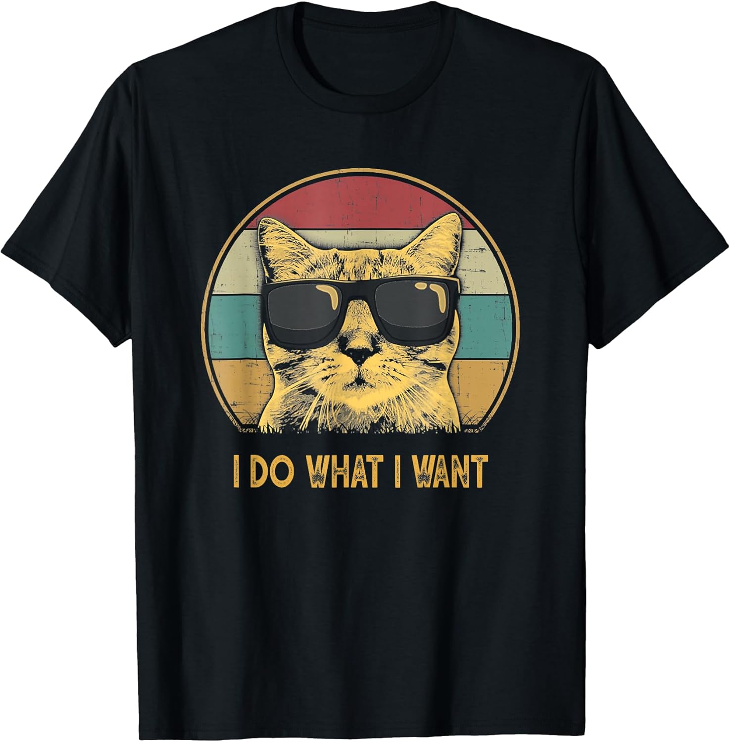 Retro I do What I Want cat Funny cat Lover T-Shirt Small