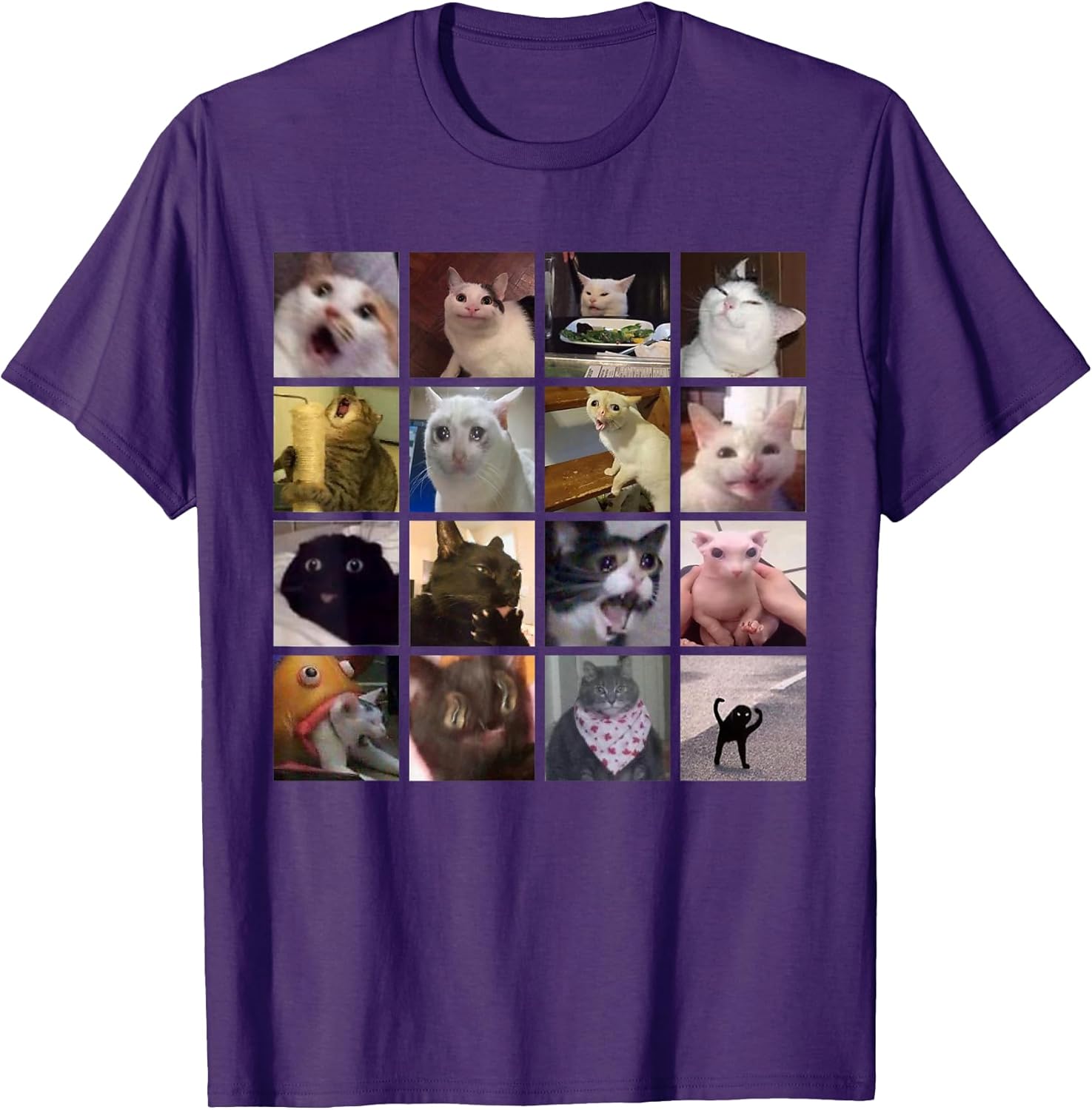 Meme Cats 2.0 tee..