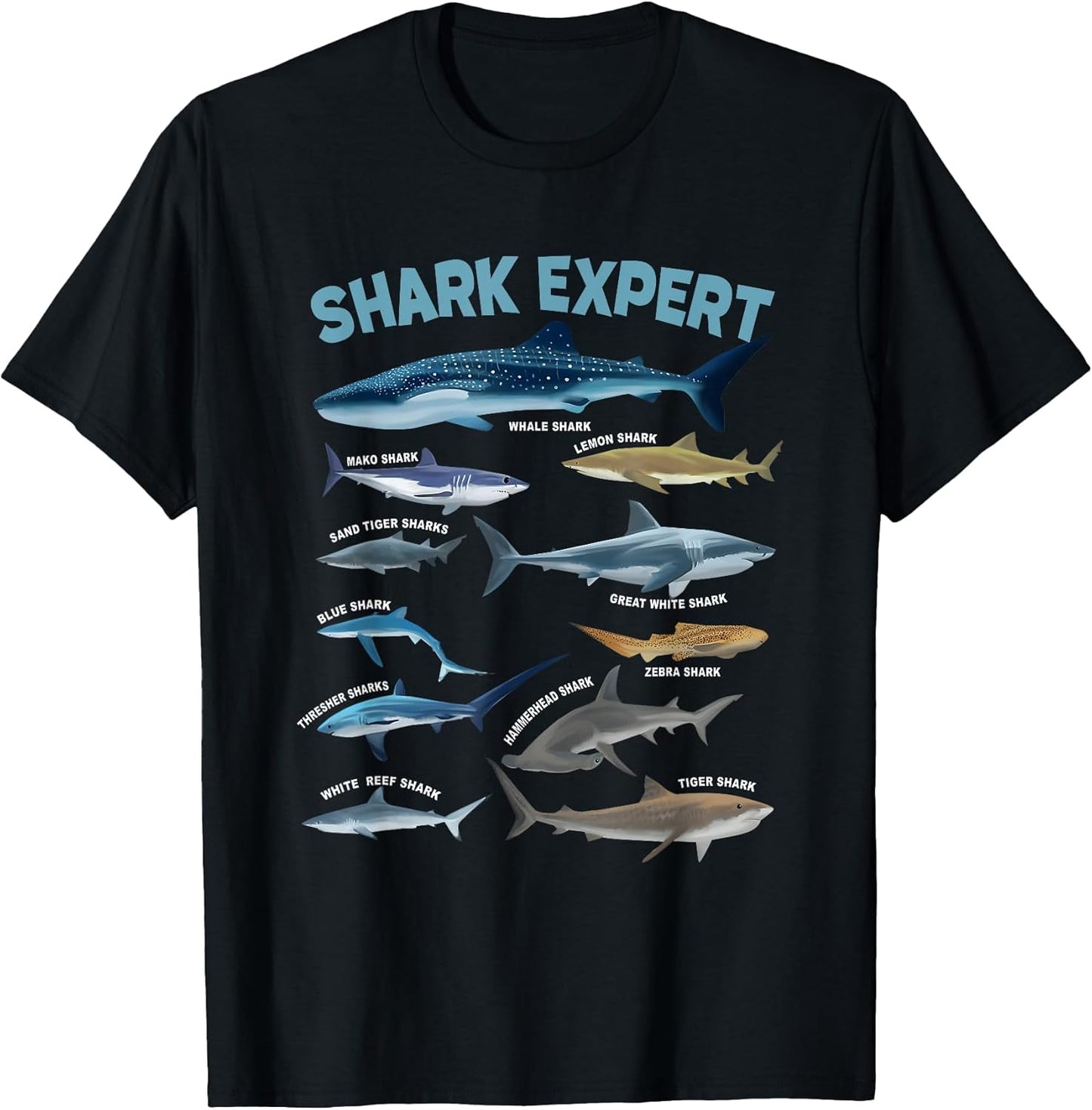 Shark Expert Guide Featuring 12 Species Whale