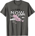 The Time Is Now Flying Pig