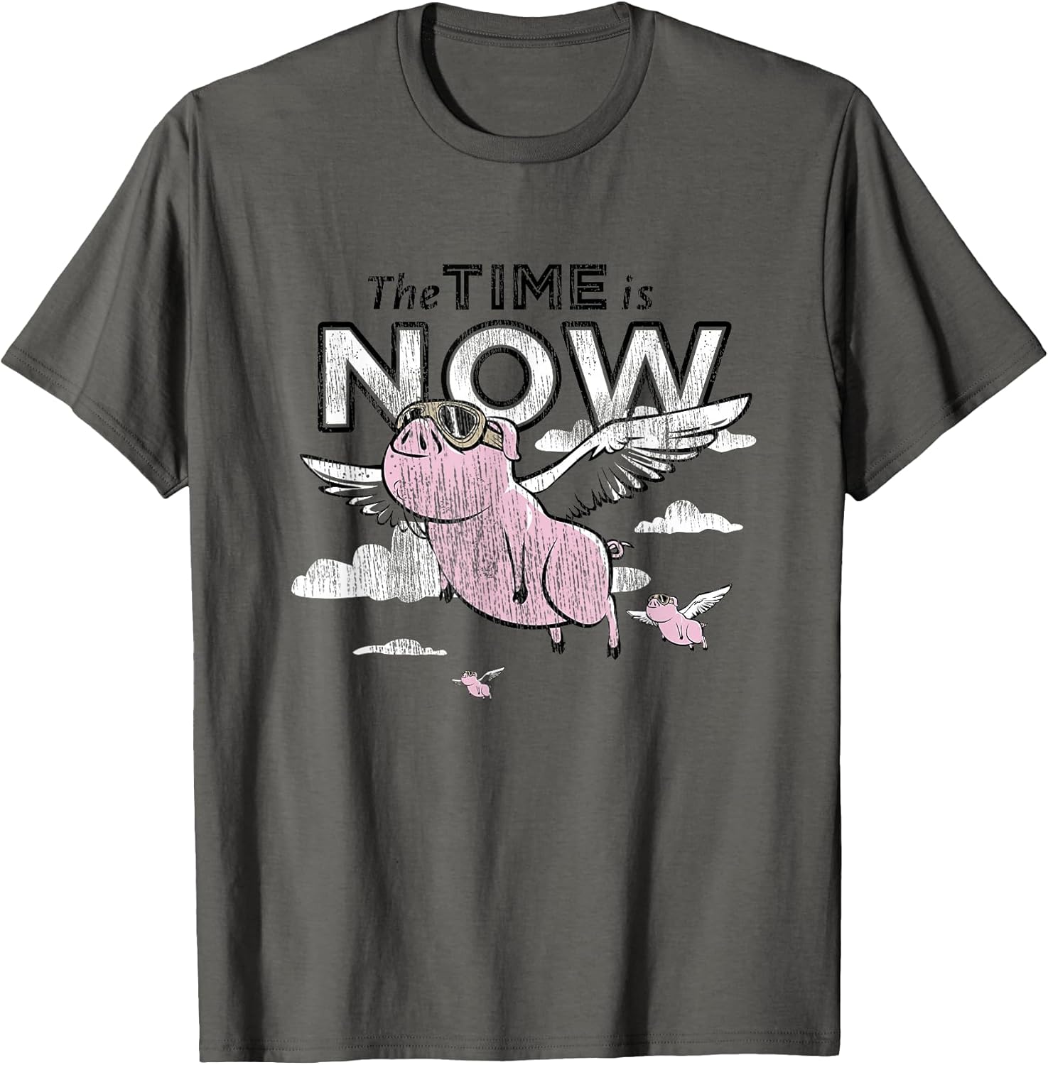 The Time Is Now Flying Pig