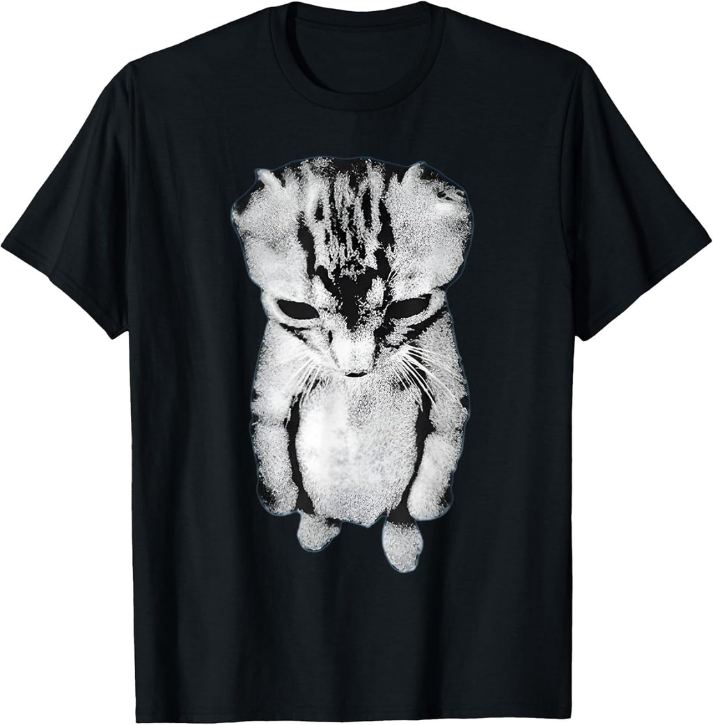Funny Sad Crying Cat Meme