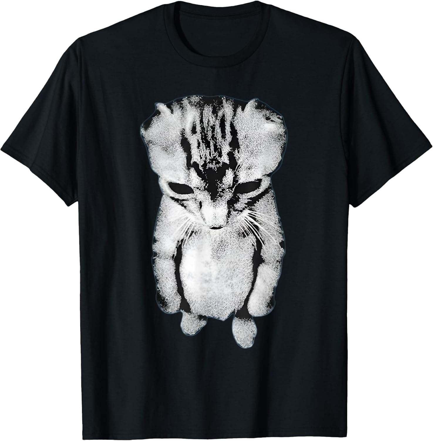 Funny Sad Crying Cat Meme