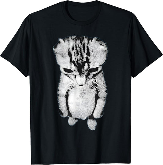 Funny Sad Crying Cat Meme