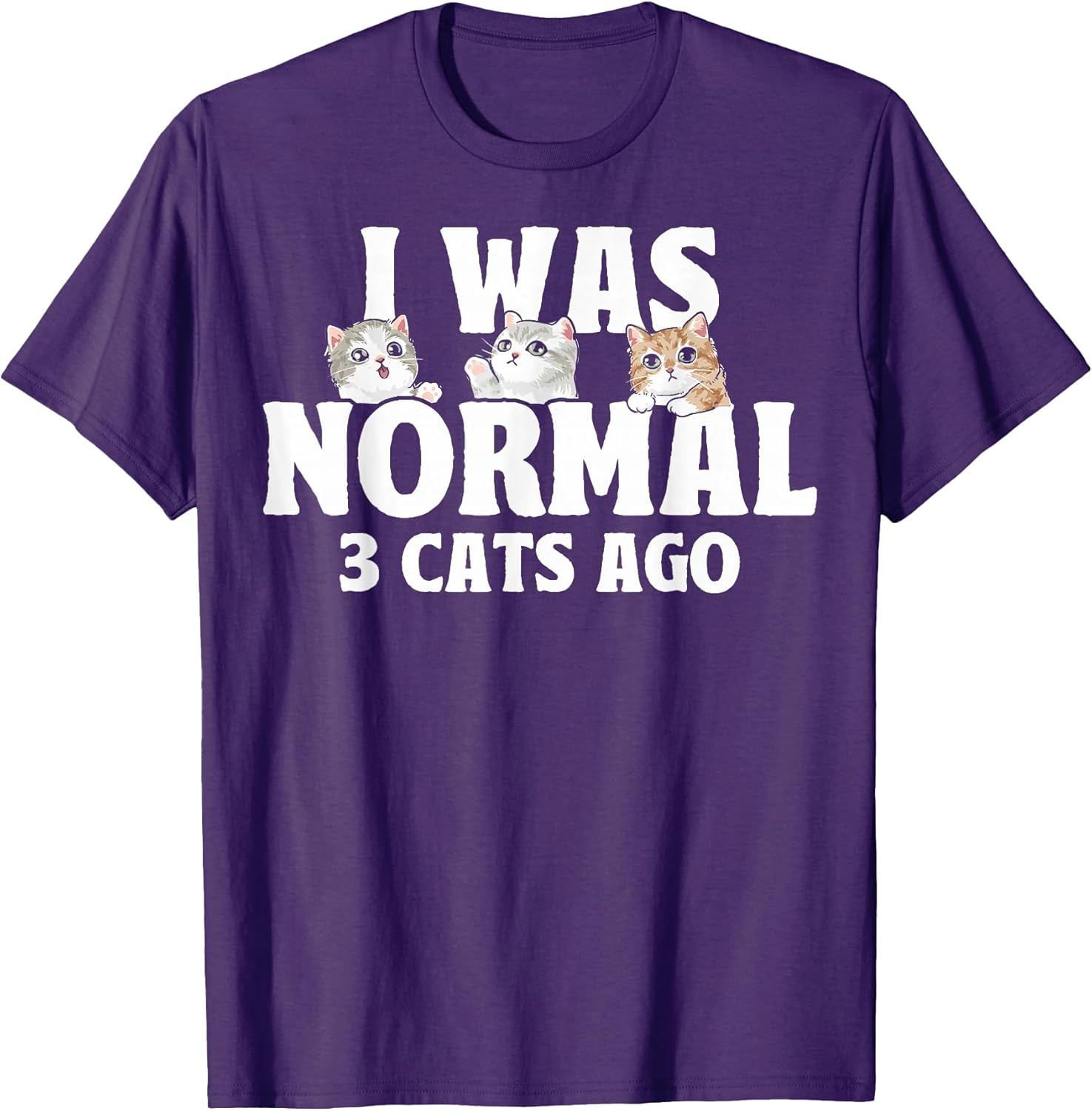 I Was Normal 3 Cats Ago Apparel