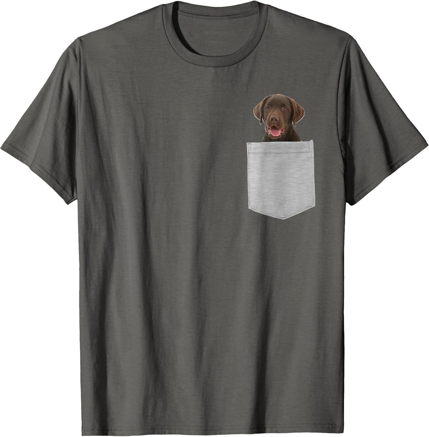 Dog in Your Pocket