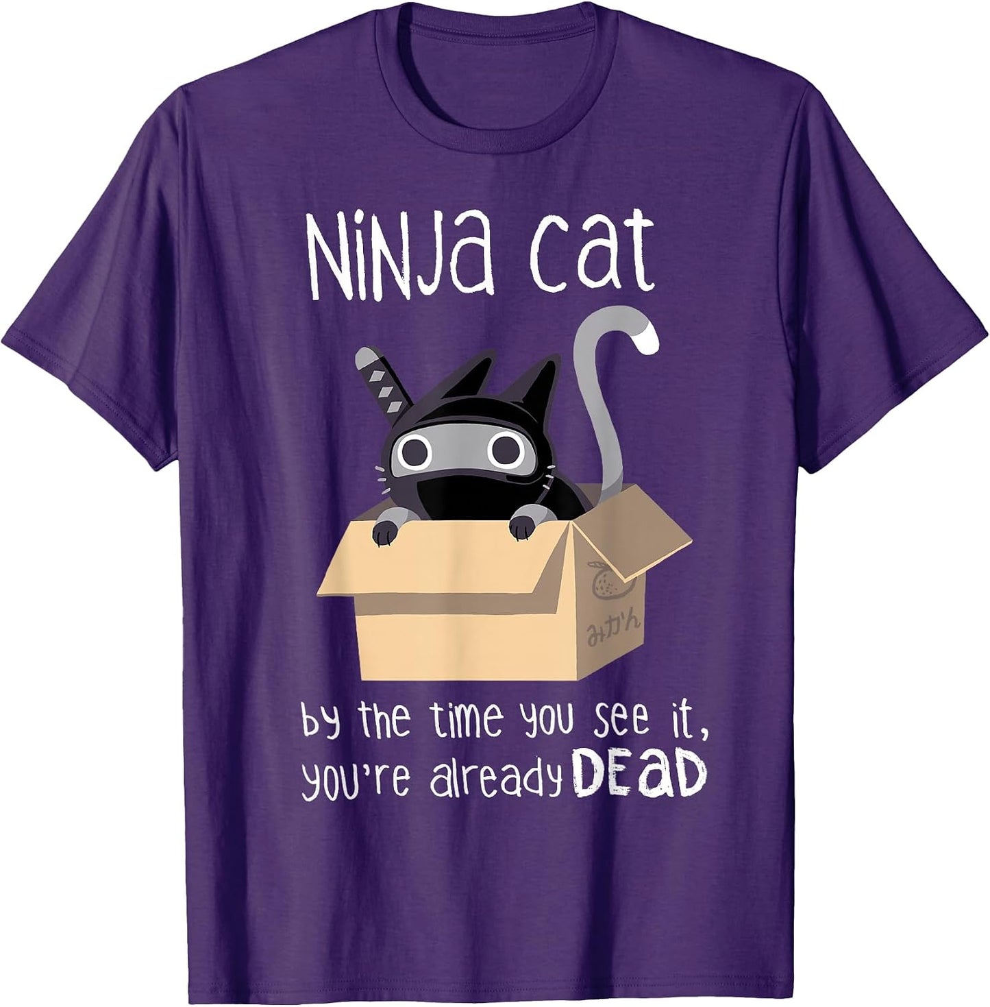 Ninja Cat