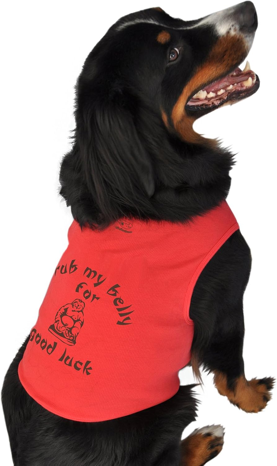 Ruff Ruff and Meow