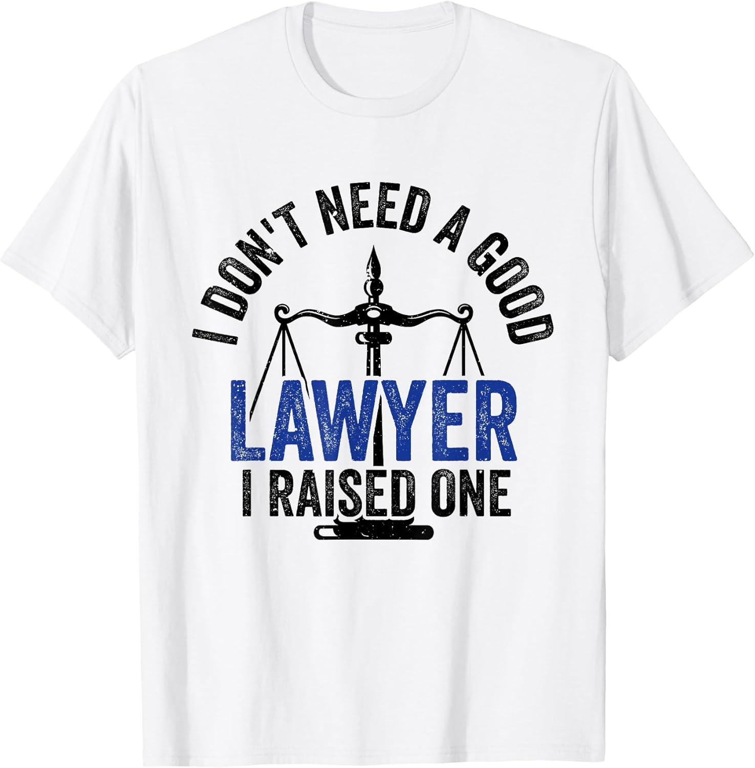 Legal Practitioner Student Profession Job Lawyers