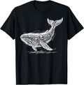 Blue Whale Drawing Sketch Ocean Humpback Whale