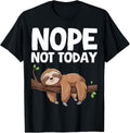 Lazy Napping Sloth Cute Introvert
